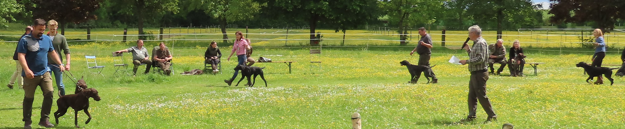 06 Vorstellung im Ring